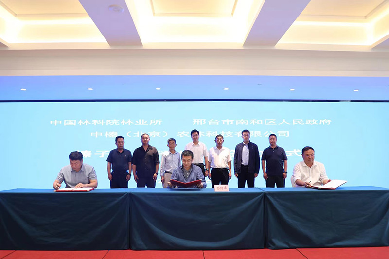 1685189833615799.jpg 53.jpg