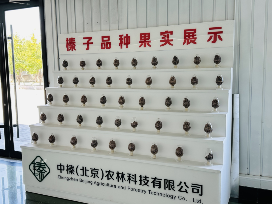 1734858124625645.png t11a477708f832cd6080de823a2.png