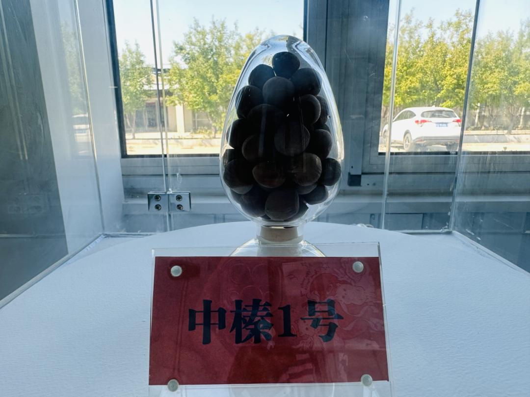 1734858136654737.png t11a477708f78e635b68980711e.png