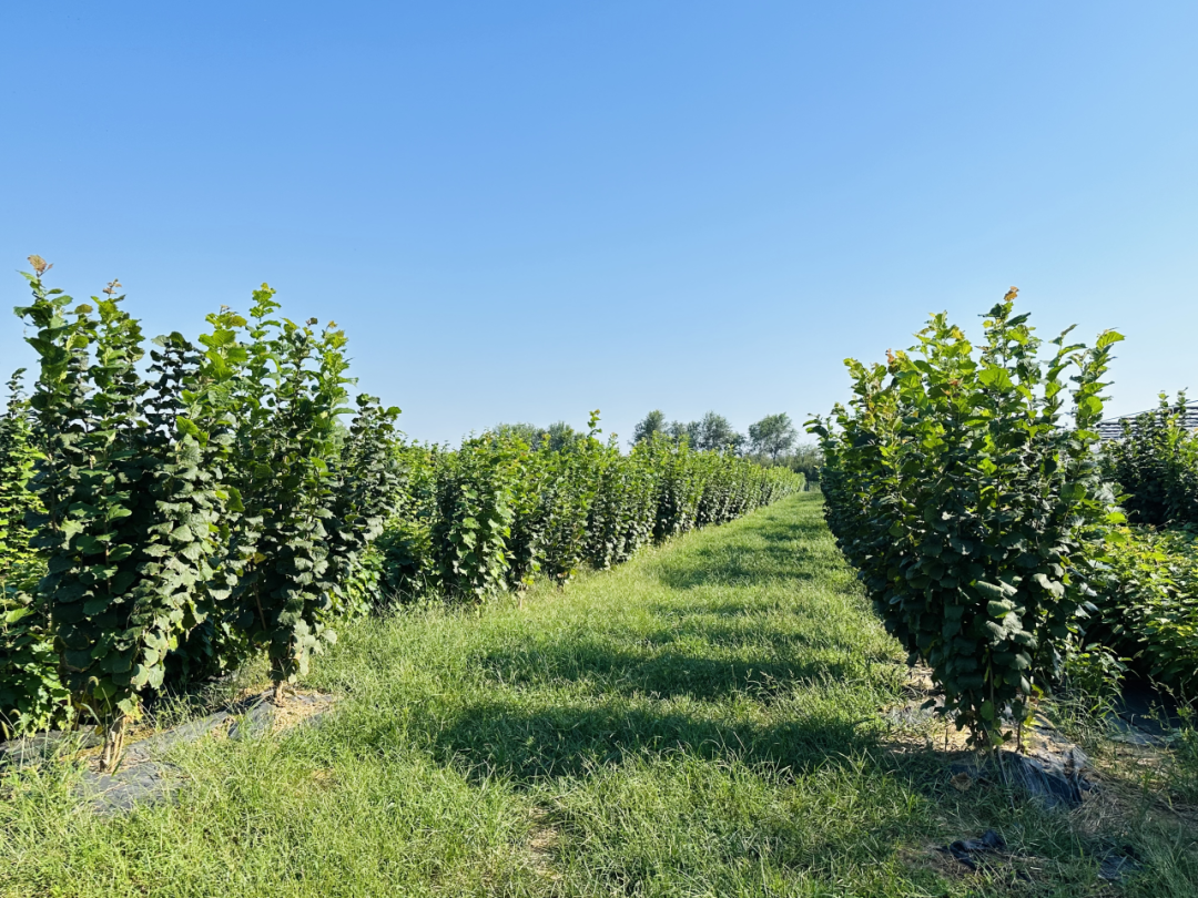 1734858183772456.png t11a477708f594a97111720e111.png