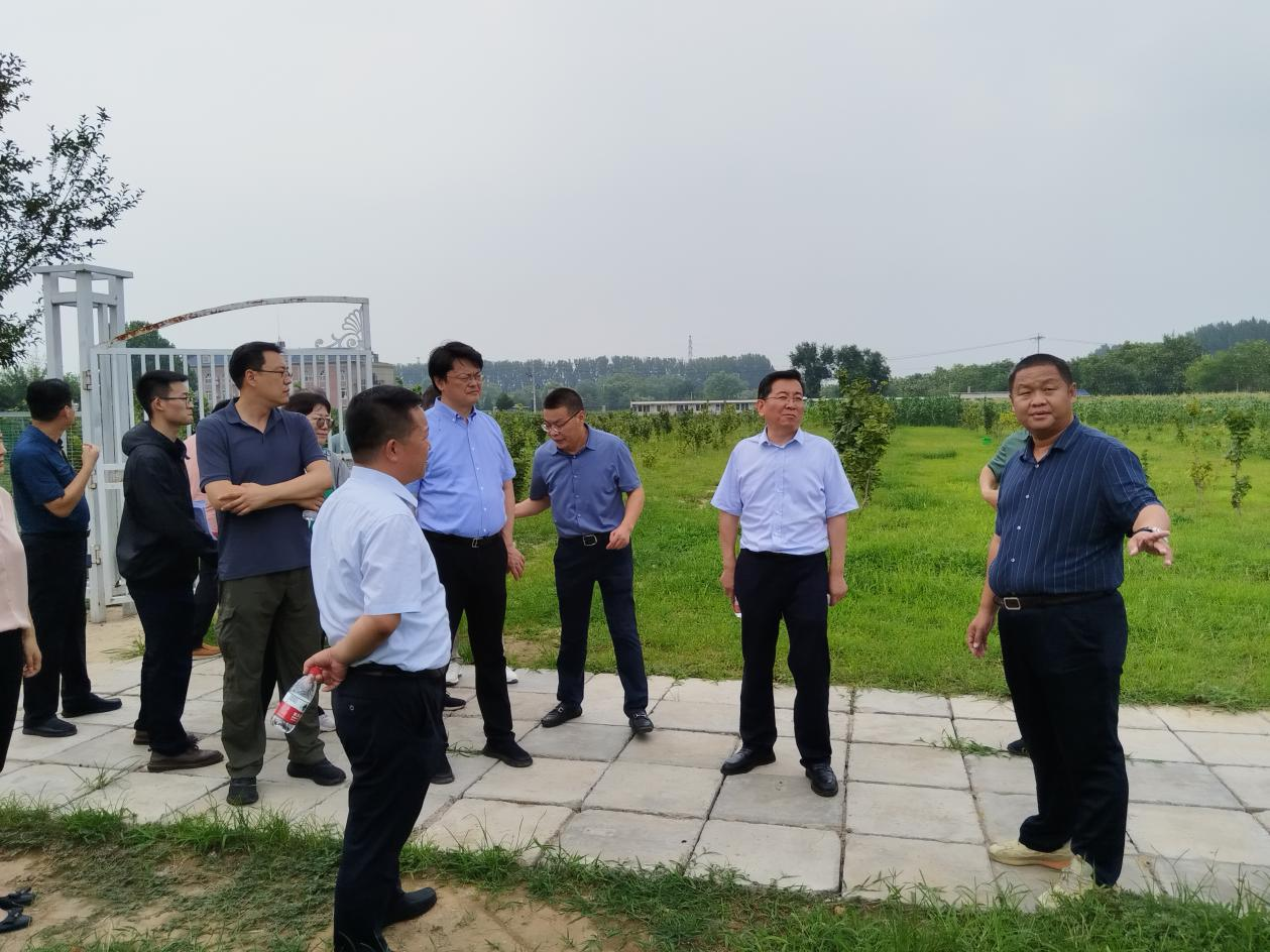 1735045299737177.png 圖片3.png